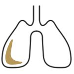 Gold lungs icon