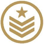 Gold USA Military icon
