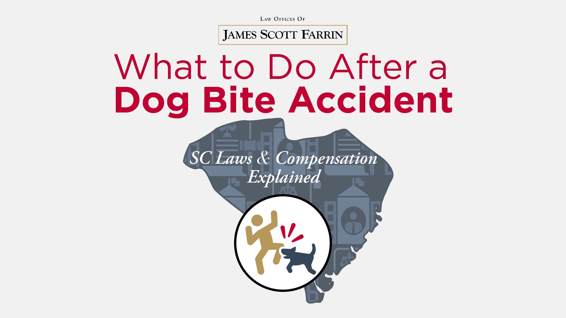 What to Do After a Dog Bite Accident: SC Laws and Compensation Explained