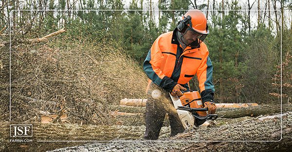 A logger in an orange high-vis jacket using a chainsaw on a log in a forest.
