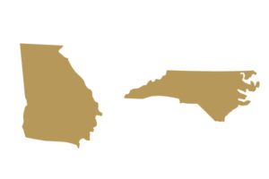 North Carolina and Georgia States Gold Icon