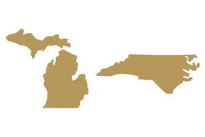 North Carolina and Michigan States Gold Icon
