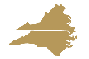 Gold North Carolina and Virginia States Icon