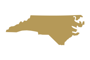 North Carolina Gold Icon