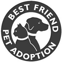 Best Friend Pet Adoption Logo