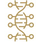 gold genetics icon