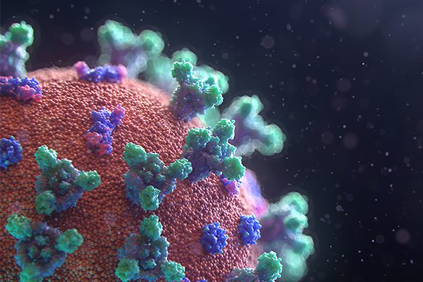 A computer generated depiction of the COVID-19 virus.