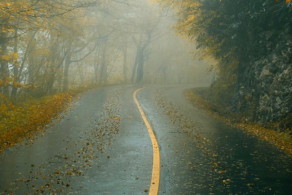 Slick road after rainfall in the fall in Asheville, NC.