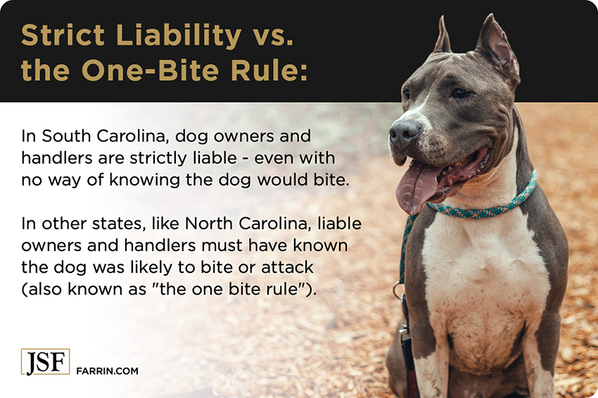 In SC dog owners are strictly liable. In NC they must have known the dog was liable to bite.