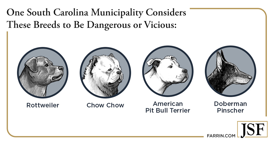 One SC municipality considers pit bulls, rottweilers, dobermans, and chow chows to be dangerous.