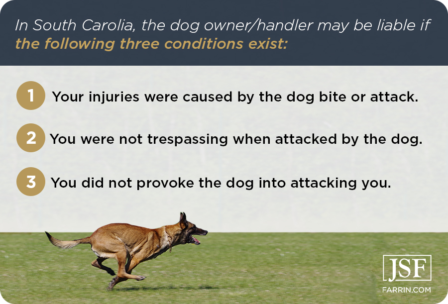 If you have been attacked by a dog in SC, you may have a claim if your injuries were caused by the dog, you were not trespassing & you did not provoke the dog.