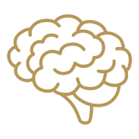 Gold icon of a human brain.