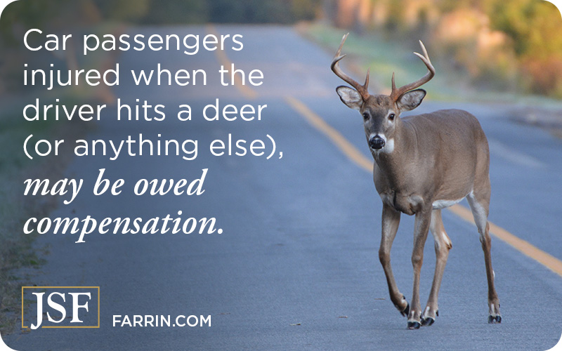 A young white tailed deer buck in the middle of an asphalt road.