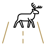 Icon of a deer in the middle of a road.