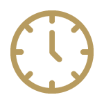 Gold save time icon width=